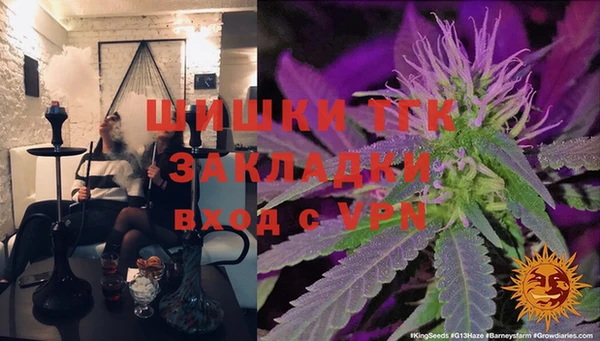 индика Покровск