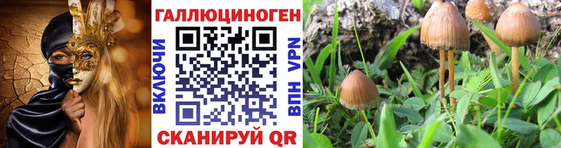 Псилоцибиновые грибы MAGIC MUSHROOMS  Беслан 